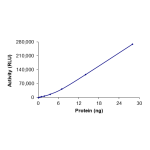 MET (M1250T), Active